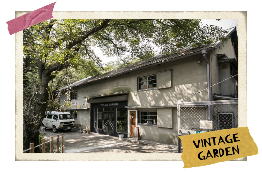 ストライプのレトロソファと大きな窓が特徴のリビング、奈良 Vintage Garden の家具に囲まれ自然光が差し込む空間